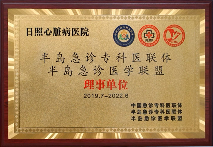 半島急診專(zhuān)科醫(yī)聯(lián)體