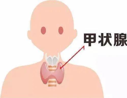 查出甲狀腺結節怎么辦？您關心的問題都在這里！