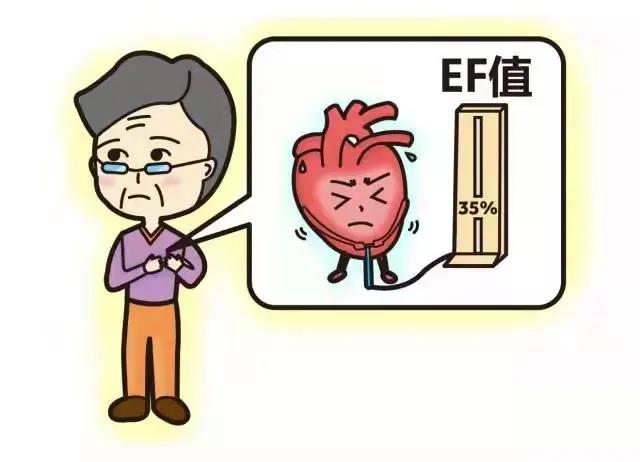 一文讀懂心臟彩超報告中的“射血分?jǐn)?shù)”