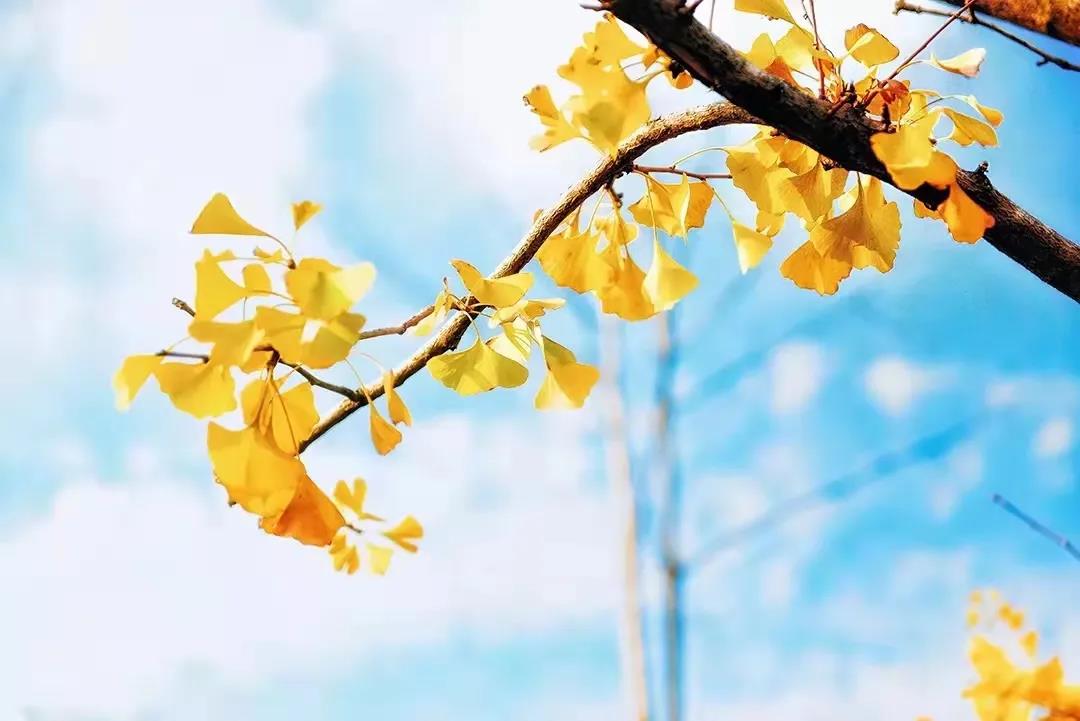 秋季心血管疾病多發(fā)，如何預(yù)防看這里！